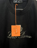 PLAYERA LORO PIANO N094